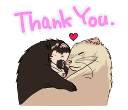 Chacha and Kuro good friend ferret sticker #1261984