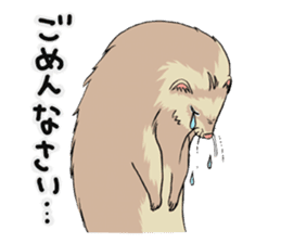 Chacha and Kuro good friend ferret sticker #1261985