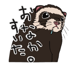 Chacha and Kuro good friend ferret sticker #1261988