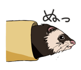 Chacha and Kuro good friend ferret sticker #1261989