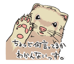 Chacha and Kuro good friend ferret sticker #1261993