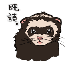 Chacha and Kuro good friend ferret sticker #1261999