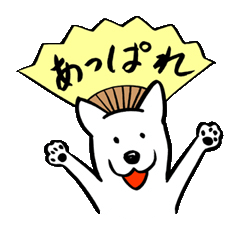 Appare dog