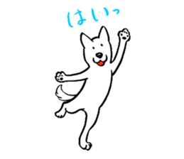 Appare dog sticker #1262088