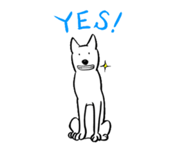 Appare dog sticker #1262107