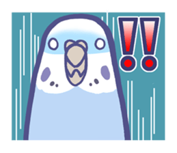 Budgerigars sticker #1262613
