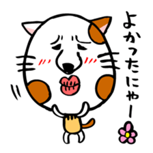 Conversation of cute cat sticker #1263656