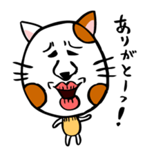 Conversation of cute cat sticker #1263659