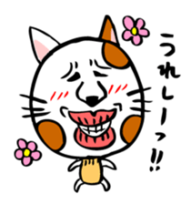 Conversation of cute cat sticker #1263660