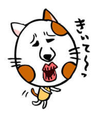 Conversation of cute cat sticker #1263666