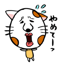 Conversation of cute cat sticker #1263677