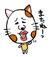 Conversation of cute cat sticker #1263681