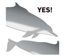 Do you like dolphins? sticker #1267010