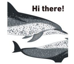 Do you like dolphins? sticker #1267011