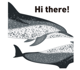 Do you like dolphins? sticker #1267011