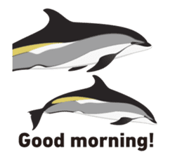 Do you like dolphins? sticker #1267012