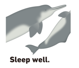 Do you like dolphins? sticker #1267014