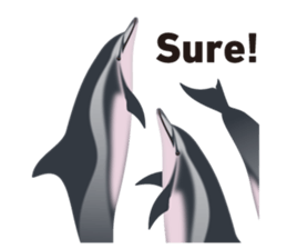 Do you like dolphins? sticker #1267020