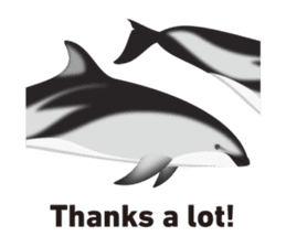 Do you like dolphins? sticker #1267023