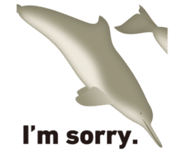Do you like dolphins? sticker #1267025