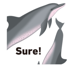 Do you like dolphins? sticker #1267031