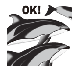 Do you like dolphins? sticker #1267036