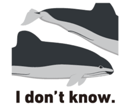 Do you like dolphins? sticker #1267044