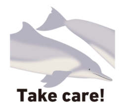 Do you like dolphins? sticker #1267047