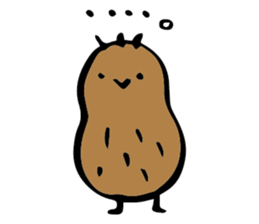 kiwi. sticker #1270650