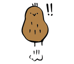 kiwi. sticker #1270651