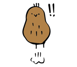 kiwi. sticker #1270651