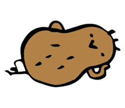 kiwi. sticker #1270664