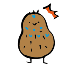 kiwi. sticker #1270672