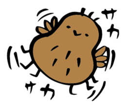 kiwi. sticker #1270673