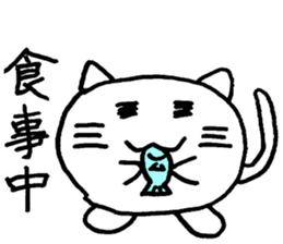 Cat round by white sticker #1272714