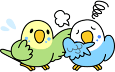 Budgerigar "Sekiseinko-kko" sticker #1274203