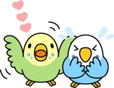 Budgerigar "Sekiseinko-kko" sticker #1274204