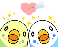 Budgerigar "Sekiseinko-kko" sticker #1274206