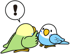 Budgerigar "Sekiseinko-kko" sticker #1274209