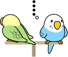 Budgerigar "Sekiseinko-kko" sticker #1274215