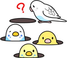 Budgerigar "Sekiseinko-kko" sticker #1274216
