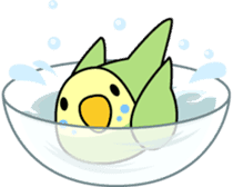 Budgerigar "Sekiseinko-kko" sticker #1274224