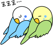 Budgerigar "Sekiseinko-kko" sticker #1274225