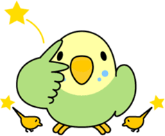 Budgerigar "Sekiseinko-kko" sticker #1274237