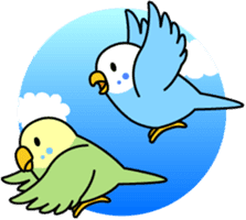 Budgerigar "Sekiseinko-kko" sticker #1274239