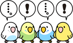 Budgerigar "Sekiseinko-kko" sticker #1274240
