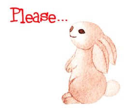 Animal Friends : Daily Life sticker #1274771