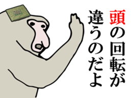 Proboscis monkey sticker #1276460