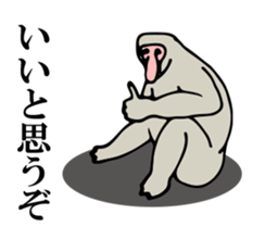 Proboscis monkey sticker #1276477