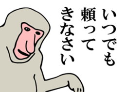 Proboscis monkey sticker #1276480